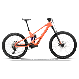 WILD LT H10 MULLET 2027