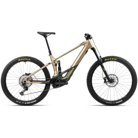 WILD H30 2024