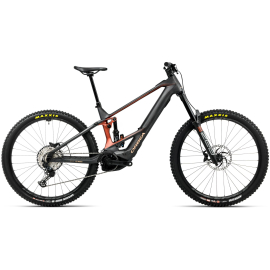 WILD M20 2026